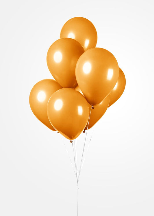 25 Ballonnen 12″ Oranje